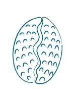 Chalk seashell silhouette. Crayon seashell outline in marine style. Aquatic creature in ocean world, doodle texture, summer theme, potential for decorative use. vector