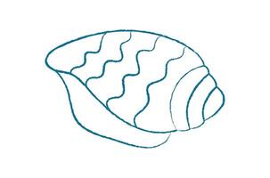 Chalk style seashell icon. Crayon seashell shape represents marine creature life. Undersea doodle in aquatic theme, flat design, suitable for summer decor and educational materials. vector