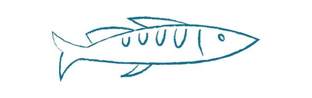 Tuna fish silhouette doodle. Cartoon representation of an aquatic creature. Ocean life, flat style, potential for use in marine designs or educational materials. Chalk and crayon style vector