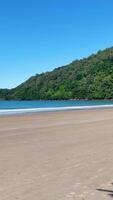 A tranquil beach scene with lush jungle backdrop, captured in bright daylight at Port Douglas, Queensland video