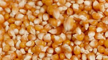 Golden popcorn kernels cascade in a close-up view, highlighting texture and movement under bright lighting video