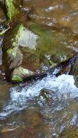 A serene stream flows over moss-covered rocks, creating a tranquil natural scene with gentle water movement and soft lighting video