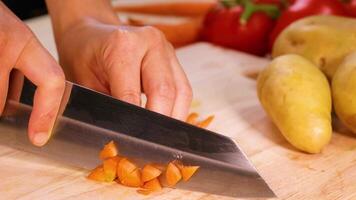 Hands chopping carrots with potatoes and tomatoes video