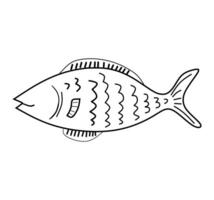 Simple hand-drawn black and white illustration of a fish with fins and scales vector