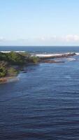 Aerial footage of a tranquil coastline with gentle waves and lush greenery under clear blue skies video