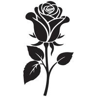 Black rose illustration with floral design and decorative botanical elements vector