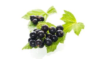 leaves and fruits ripe large blackcurrant berry isolated on white background photo