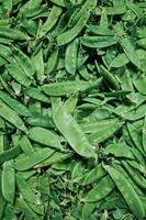 Bunch of green peas are piled up on top of each other. Phone wallpaper. Vertical background. photo