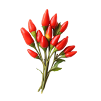 Bunch of red chili peppers isolated on a transparent background png