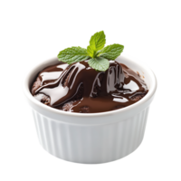 Decadent chocolate lava cake with rich chocolate sauce and fresh mint isolated on transparent background png