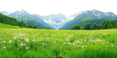 Green meadow extending toward mountain peaks, isolated on transparent background png