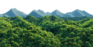 Green forested mountains with multiple peaks isolated on transparent background png