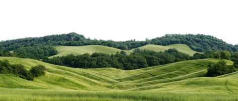 Gentle green hills with scattered trees and forest patches, isolated on transparent background png