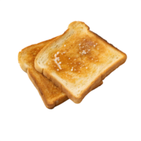 Two slices of golden brown toast sprinkled with coarse salt isolated on transparent background png