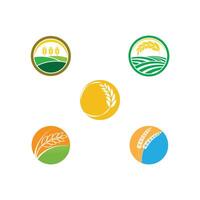 Set Stylized Wheat logo and symbol vector