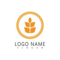 Agriculture wheat simple Logos Template icon design vector