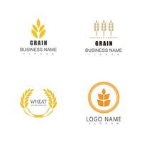 Set Stylized Wheat logo symbol vector