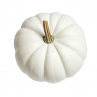 White pumpkin 3d icon featuring design realistic isolated transparent background, ideal for seasonal autumn graphic stem, png