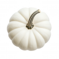 White pumpkin 3d icon featuring realistic stem, isolated transparent background, ideal for seasonal autumn graphic design png