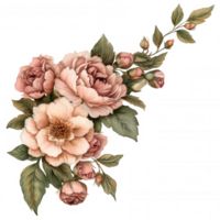 Pastel roses palette peonies arranged gracefully in vintage inspired corner and highlighting soft floral composition, against transparent background png