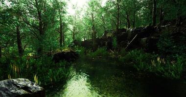 CGI Calm in Nature video
