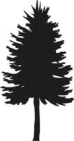 Silhouette of Pine Tree - Evergreen Forest Tree Illustration vector