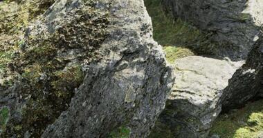 CGI rock with moss video