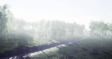 CGI sunlight through the trees and tiny road video