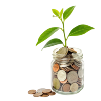 A plant growing from coins in a jar isolated on transparent background png
