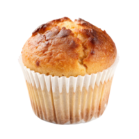 Freshly baked muffin isolated on transparent background png