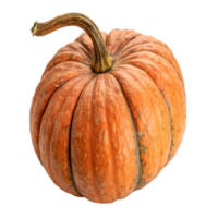 An orange pumpkin isolated on transparent background png