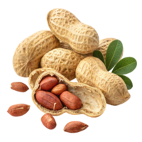 Pile of peanuts with leaves isolated on transparent background png