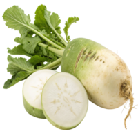 A fresh daikon radish, whole and sliced, isolated on transparent background png