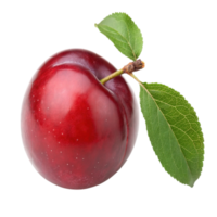 A red plum with leaf isolated on transparent background png