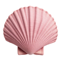 Close-up of a pink scallop shell with transparent background png