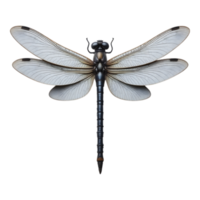 Close-up of a Realistic Dragonfly png