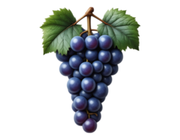 A close-up of a ripe, juicy grape cluster with green leaves. png