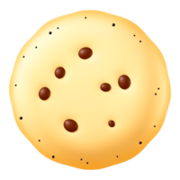 Close-up of a delicious chocolate chip cookie on a transparent background png