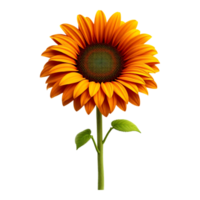Vibrant Sunflower in Full Bloom Isolated on Transparent Background png