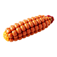 A detailed 3D rendered image of a ripe corn cob. png