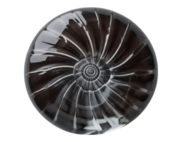 A close-up, realistic image of a glossy nautilus shell exhibiting a spiral pattern. png