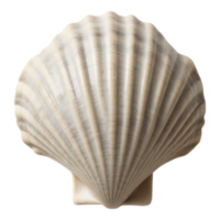 Close-up of a delicate, ridged scallop seashell against a transparent backdrop. png