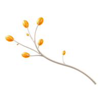 Delicate Branch with Orange Fruit-like Elements png