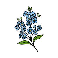Outline Hand drawn Forget Me Not Flower Blossom Branch Illustration vector