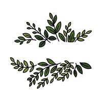 Decorative Green Leafy Branches Forming a Symmetrical Design Element vector
