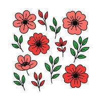 Colorful flower and leaf illustrations vector