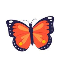 Colorful illustration of a butterfly with orange wings and dark blue edges. Flat cartoon style, ideal for education, nature themes, or design elements. vector