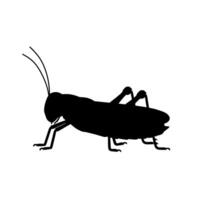 Black silhouette of a grasshopper in side view. Simple insect illustration in solid black for design, icon, or wildlife theme vector