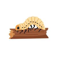 of a larva crawling on a wood branch. Depicts the second stage in an insect life cycle. Suitable for biology, science lessons, and educational materia vector