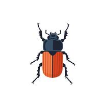 Colorful of a beetle insect in cartoon style. Part of the insect life cycle. Ideal for entomology, children learning, or educational diagrams vector